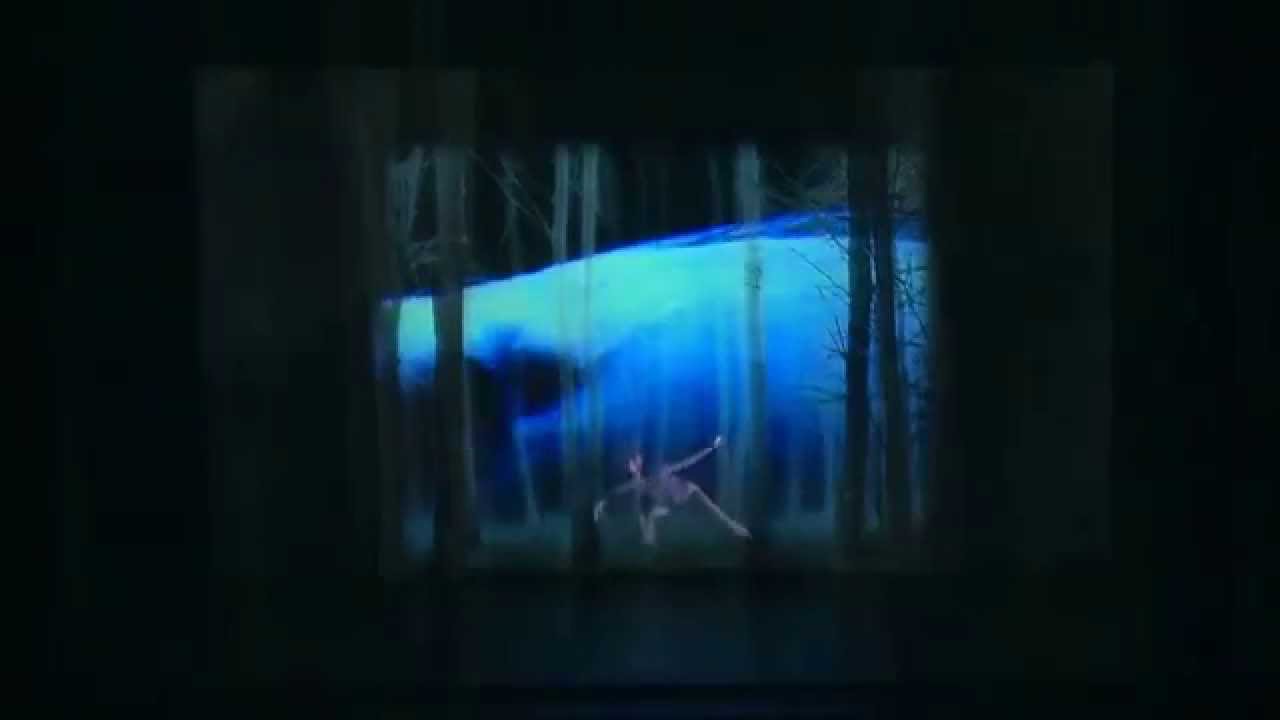 La forêt ébouriffée (The dense forest) | English Teaser | Christian et François Ben Aïm