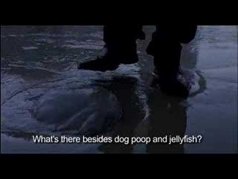 JELLYFISH TRAILER